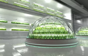 Hydroponics