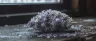 Alaska Thunder Grape cannabis strain close-up buds