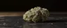 Frosty 98 White Widow weed buds close up