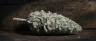 ACE Killer OG dense trichome-coated cannabis buds