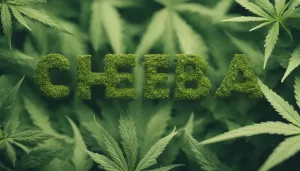 Cheeba