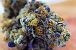 Strain