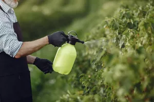 Pesticide