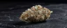 Platinum GSC cannabis buds covered in silver trichomes