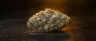 White Fire OG cannabis buds covered in trichomes