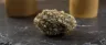 Beast Mode OG weed strain dense buds