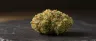 Alien Rift weed strain dense frosted buds