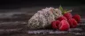 Raspberry Kush weed buds close-up
