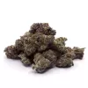 A pile of trimmed purple and green cannabis buds with orange hairs on a white background.
