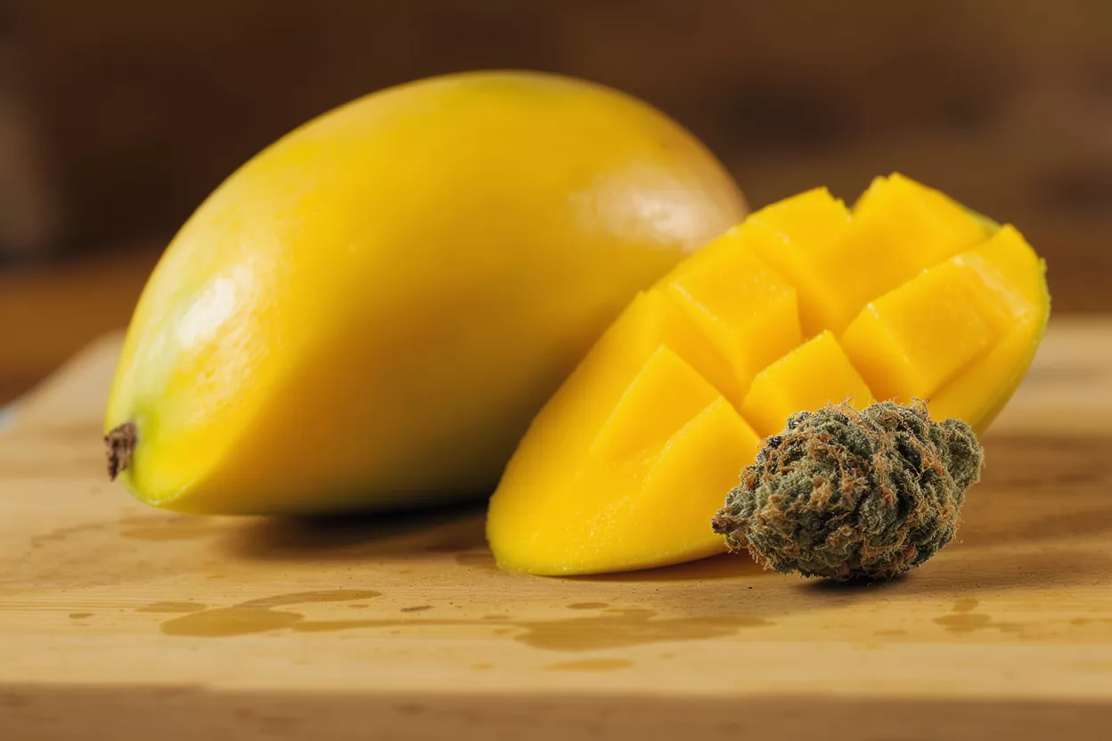 Whole mango, sliced mango, and cannabis bud on a wooden board.